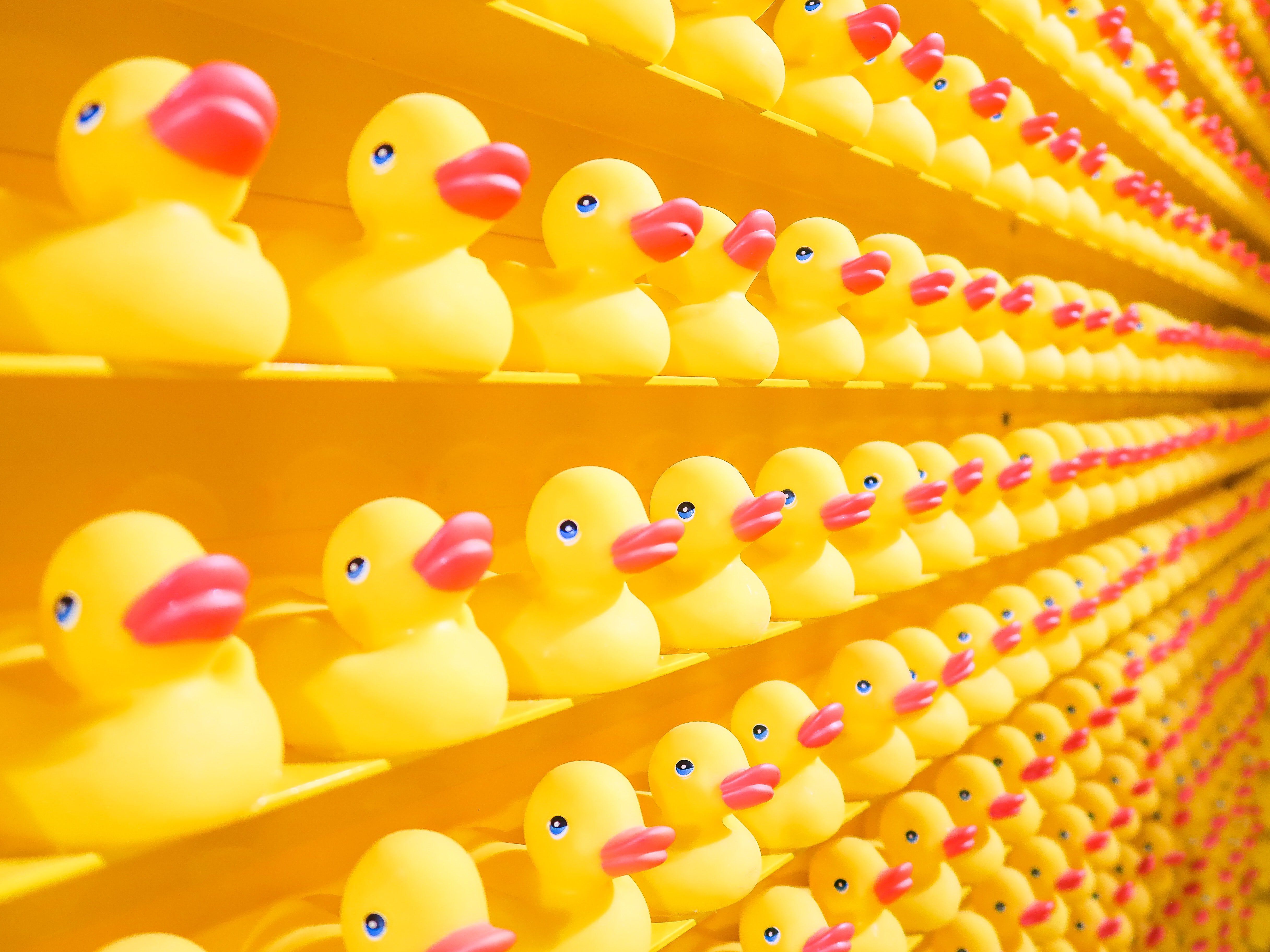 rubber ducks